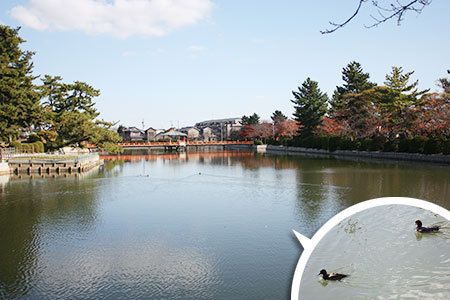 九華公園
