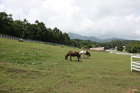 まきば公園
