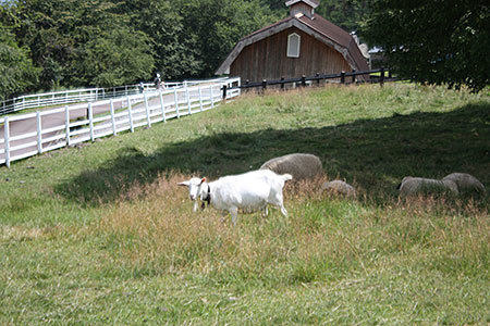 まきば公園