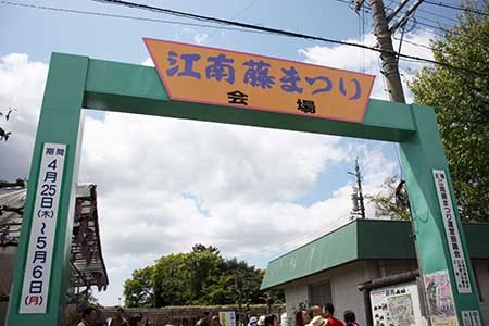 江南藤まつり