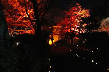 明治村の紅葉ライトアップ