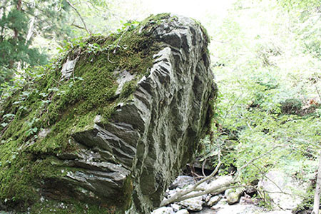 郡上夫婦岩