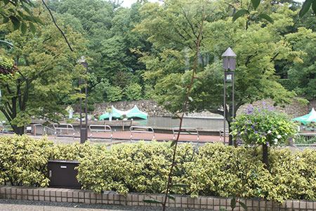 道の駅デンパーク安城