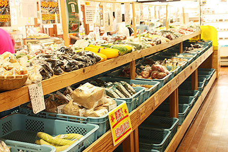 道の駅マキノ追坂峠