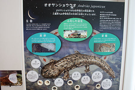 三重県総合博物館