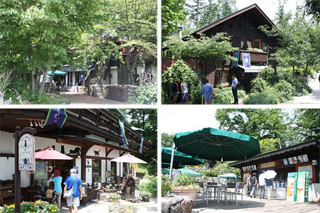 萌木の村