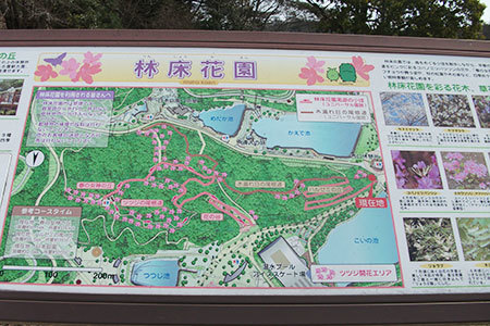 愛・地球博記念公園