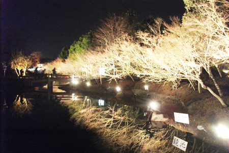 なばなの里鏡池