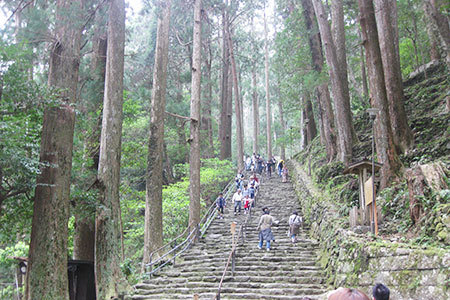 世界遺産熊野古道