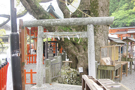 那智大社境内