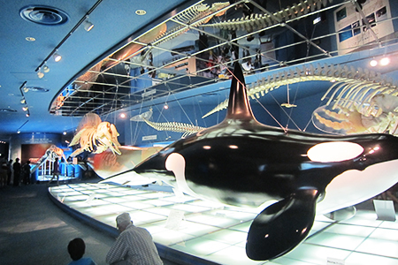 名古屋港水族館