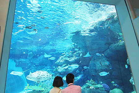 名古屋港水族館