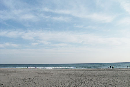 中田島砂丘海