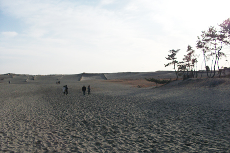中田島砂丘デート