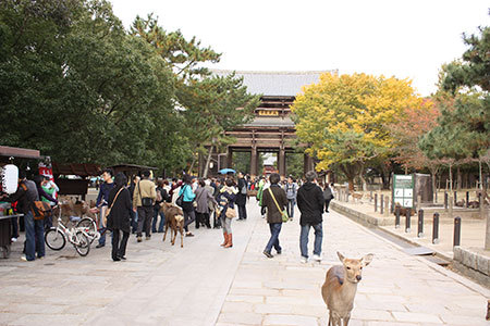 奈良公園東大寺