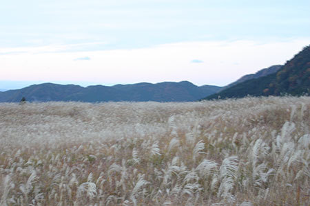 曽爾高原