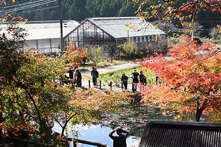 根道神社