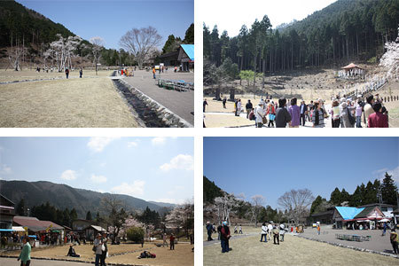 淡墨公園