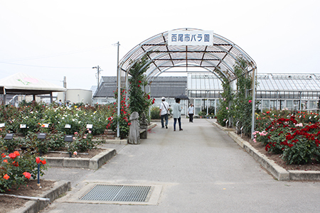 西尾市憩の農園・バラ園