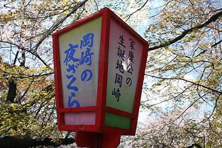 岡崎公園の桜