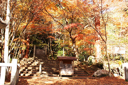 大矢田もみじ谷紅葉