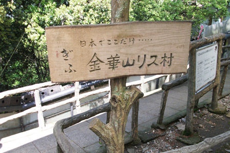 金華山リス村