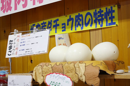 道の駅夜叉ヶ池の里さかうち