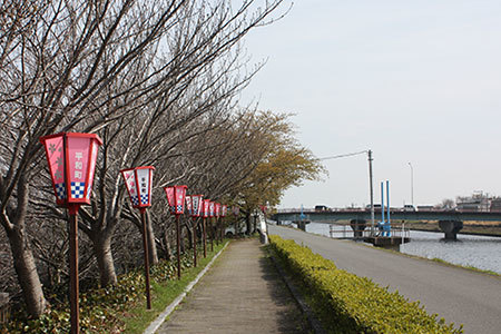 桜ネックレス
