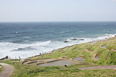 白米千枚田