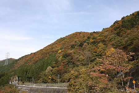 せせらぎ街道紅葉