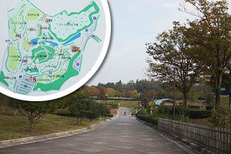 市民四季の森
