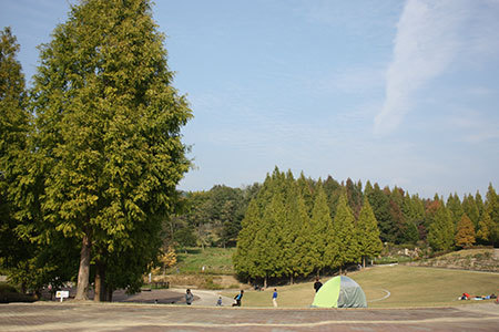 市民四季の森