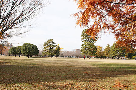 各務原市民公園