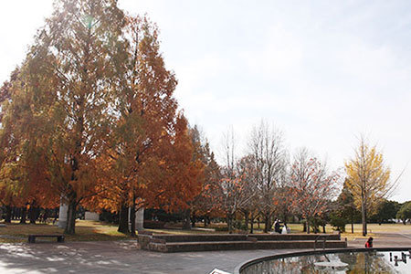 各務原市民公園