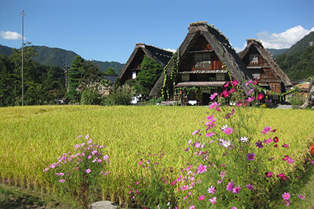 shirakawagou0005.jpg