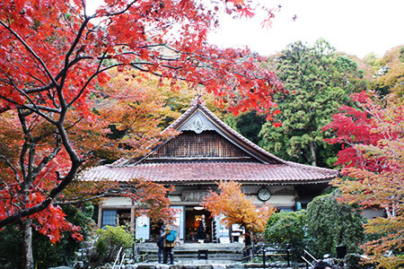 聖宝寺の紅葉