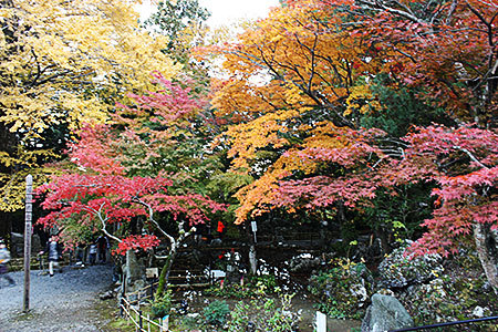聖宝寺の紅葉