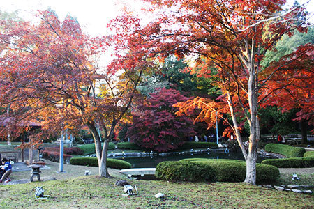 曽木公園