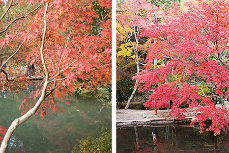 曽木公園