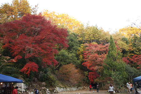 曽木公園