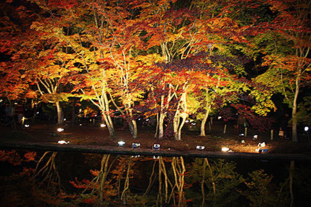 曽木公園ライトアップ