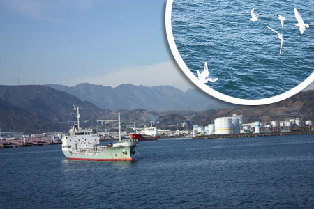 駿河湾クルージングかもめ