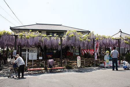 美濃竹鼻まつり・ふじまつり
