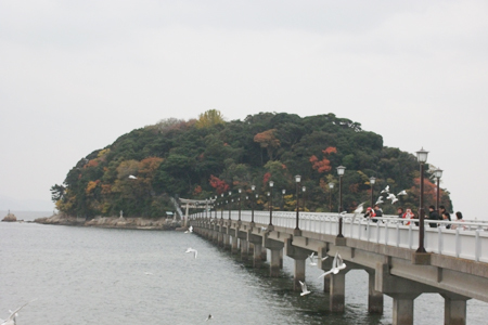 蒲郡竹島