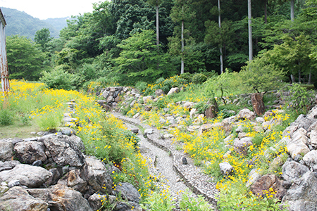 谷汲緑地公園キャンプ場