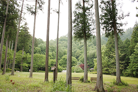 谷汲緑地公園キャンプ場