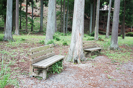 谷汲緑地公園キャンプ場