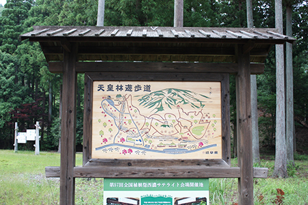 谷汲緑地公園キャンプ場