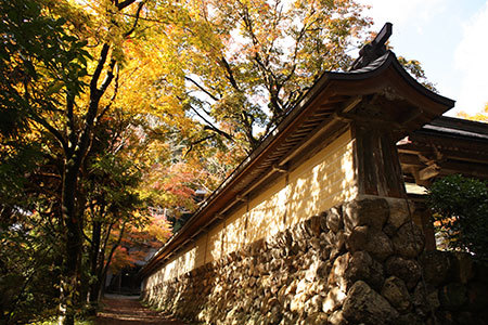 谷汲山華厳寺イチョウ