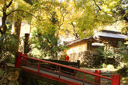 谷汲山華厳寺紅葉